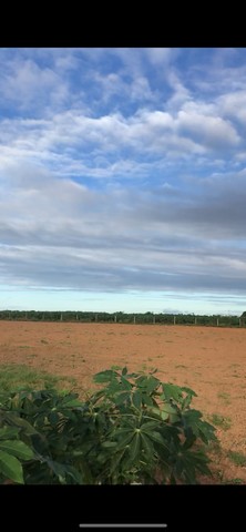 Foto - Arapiraca - Zélia Barbosa Rocha