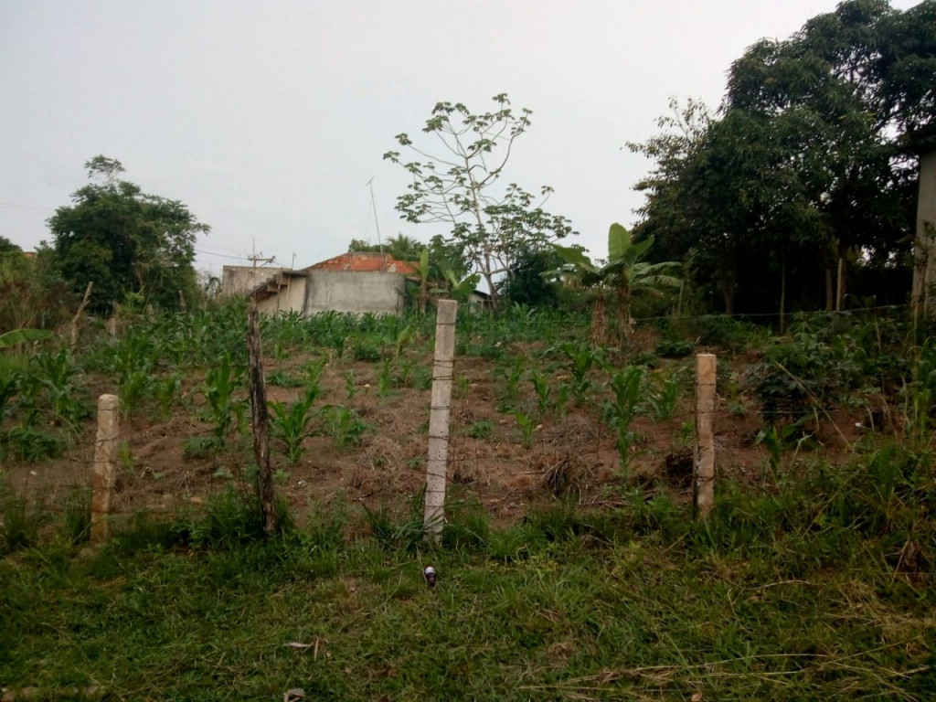 foto - Armação dos Búzios - Rasa