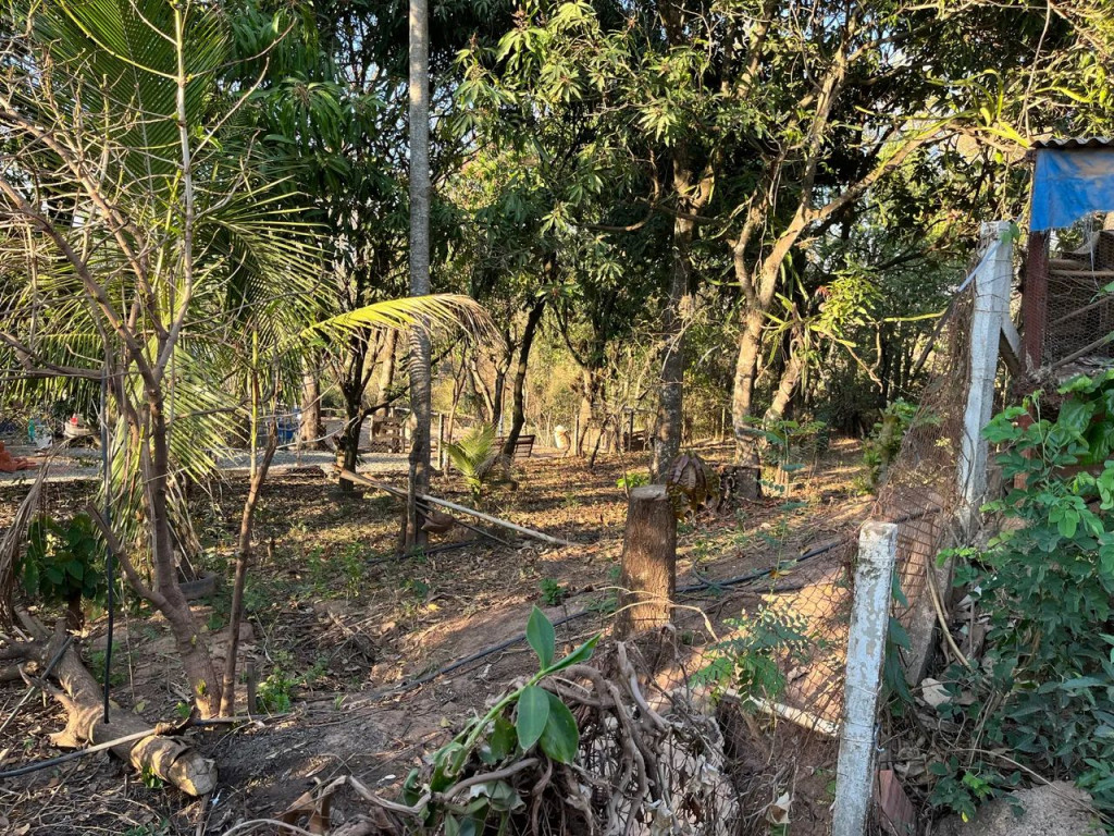 Foto - Limeira - Bairro dos Pires