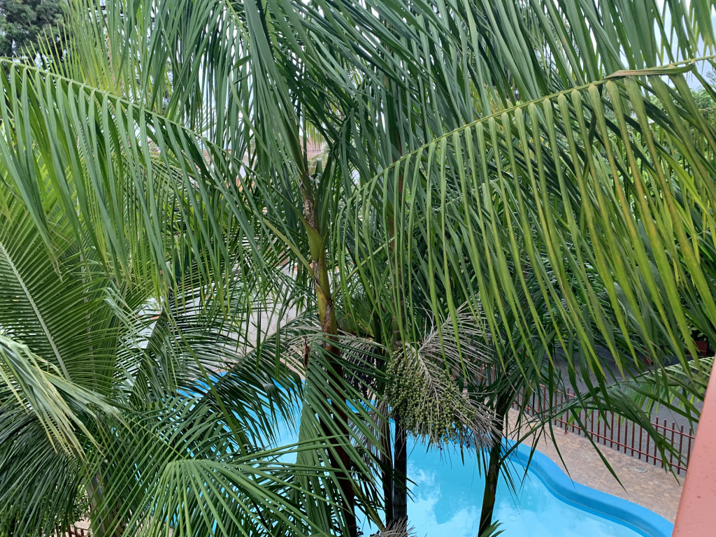 Captação de Casa a venda na Rua Fagundes Varela, Jardim São Bento, Campo Grande, MS