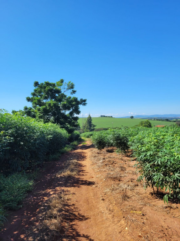 Fazenda à venda, 63200m² - Foto 4