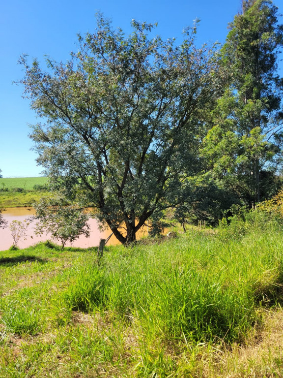 Fazenda à venda, 63200m² - Foto 14