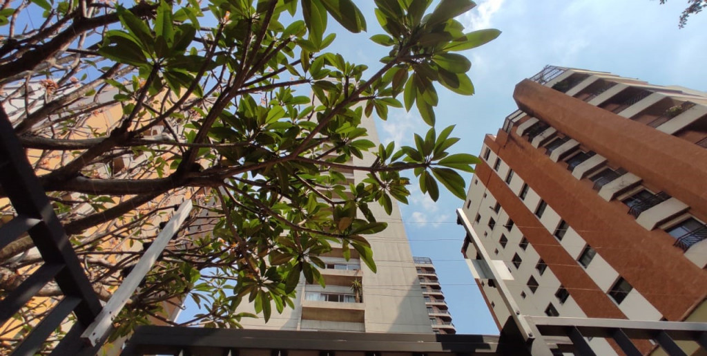 Captação de Apartamento a venda na Avenida Conselheiro Rodrigues Alves, Vila Mariana, São Paulo, SP