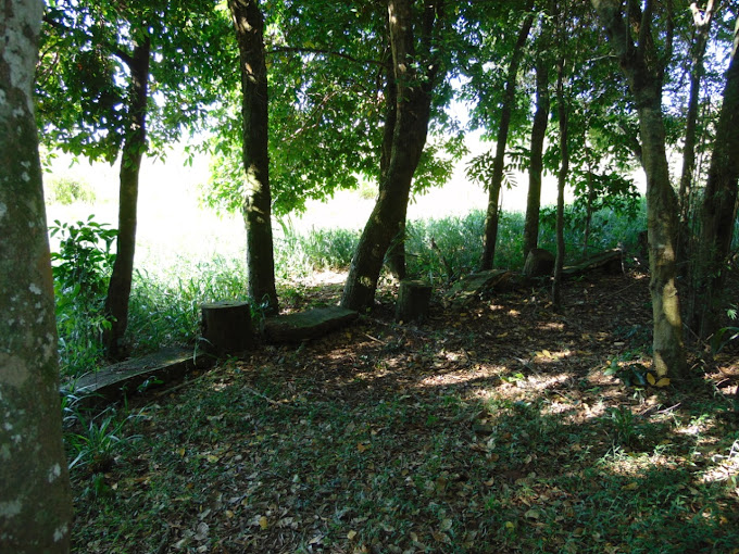 Fazenda à venda com 10 quartos, 210000m² - Foto 9