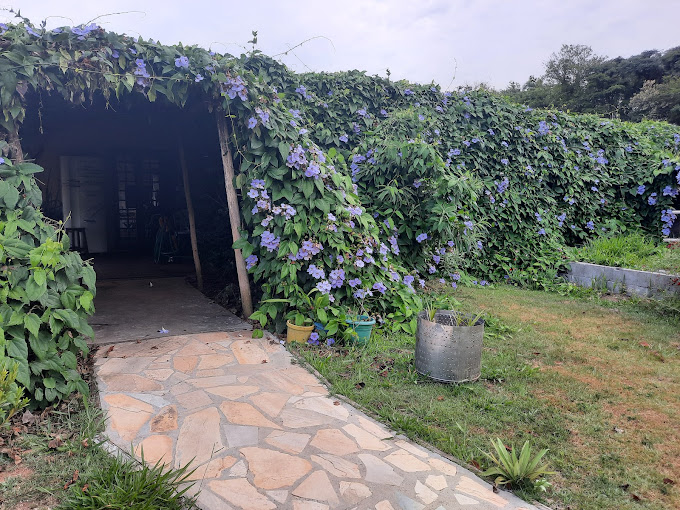 Fazenda à venda com 10 quartos, 210000m² - Foto 14