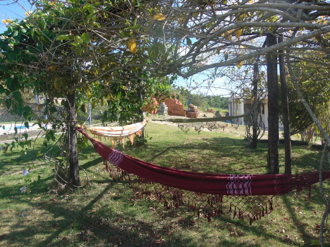 Fazenda à venda com 10 quartos, 210000m² - Foto 10