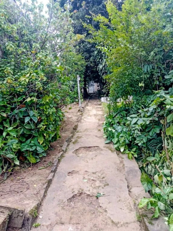 Foto - São Paulo - Jardim Franca