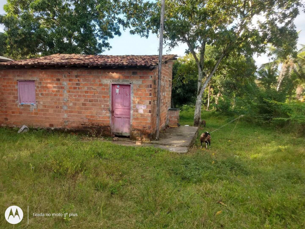 foto - Nossa Senhora do Socorro - 