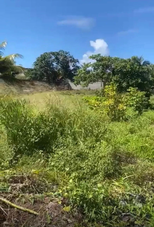 Foto - Rio de Janeiro - Recreio dos Bandeirantes