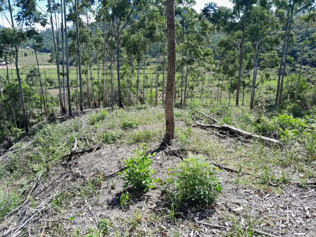 Foto - Biguaçu - Área Rural de Biguaçu