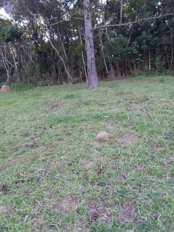 Foto - Ibiúna - 