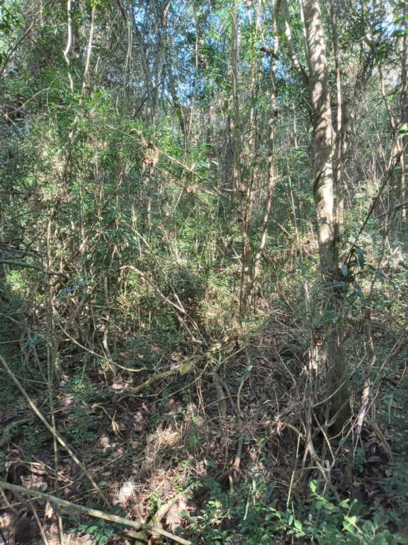 Foto - Sorocaba - Vila Olímpia