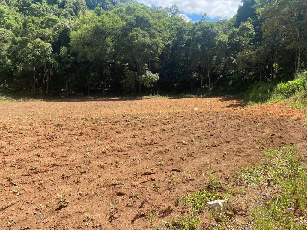 Foto - Jundiaí - Vila Maringá
