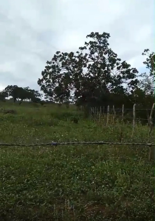 Foto - Salvador - Pituba