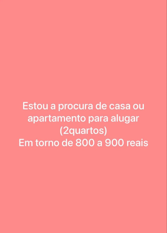 Foto - São Luís - Jardim das Margaridas