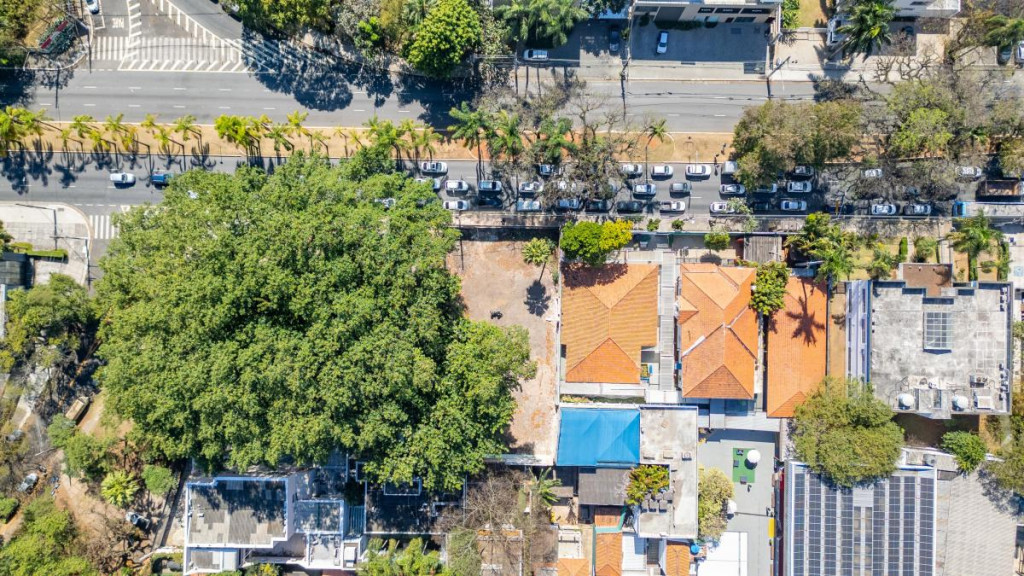 Foto - São Paulo - Jardins