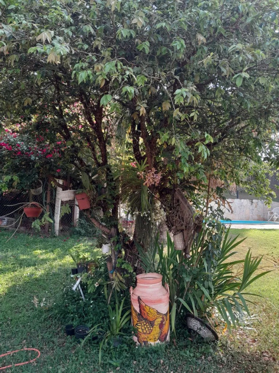 Foto - Várzea Paulista - Chácaras São Guido