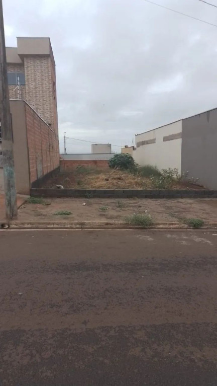 Foto - Ribeirão Preto - Parque das Oliveiras