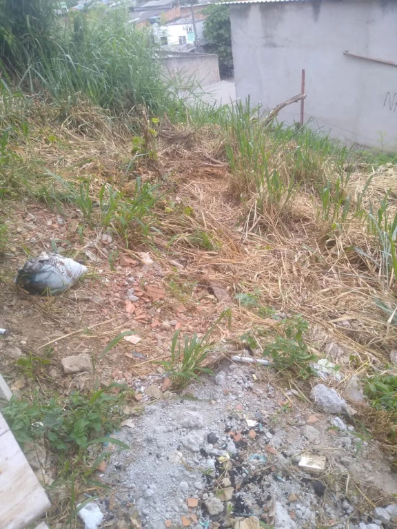 Foto - Vila Velha - Alecrim