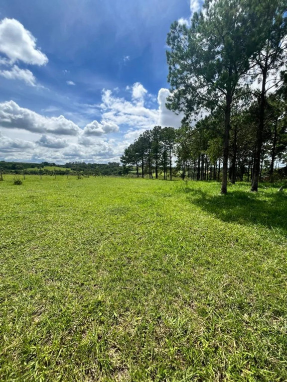 Foto - Limeira - Área Rural de Limeira