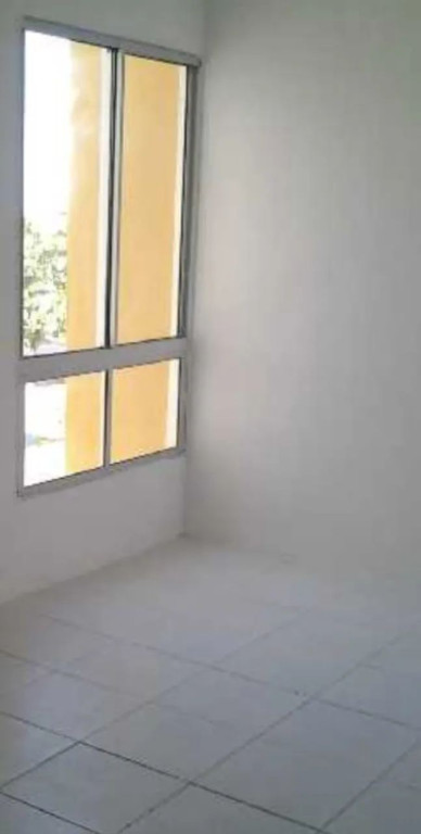 Foto - Paulista - Janga