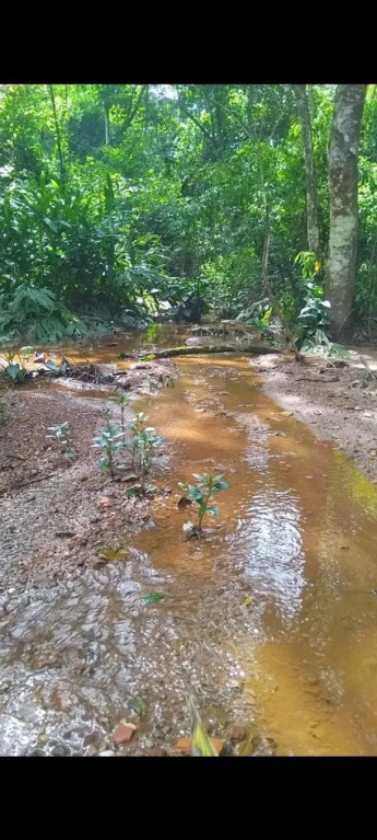 Foto - Várzea Paulista - Jardim América
