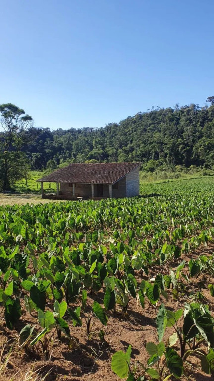 Foto - Campinas - Vila Renascença