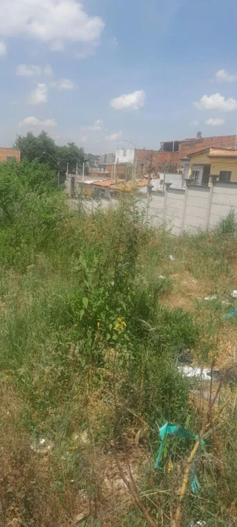 Foto - Campinas - Jardim Uruguai