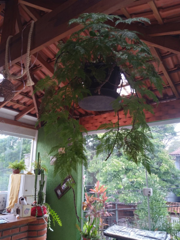 Foto - São Paulo - PIRITUBA