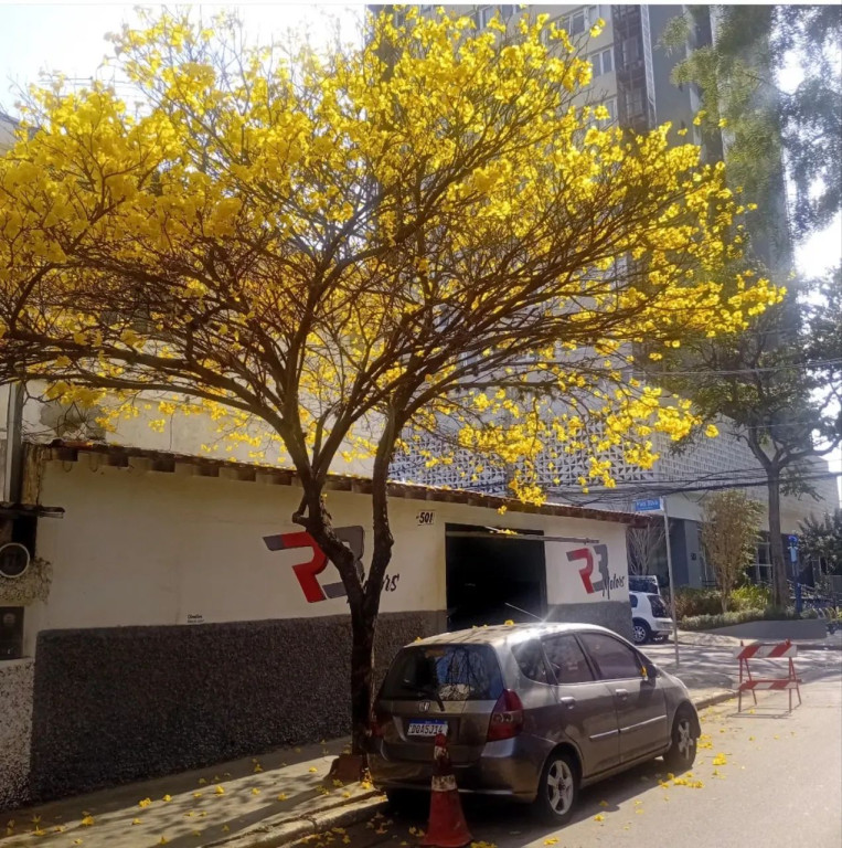 Foto - São Paulo - Vila São Francisco (Zona Sul)