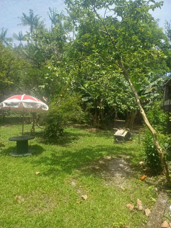 Foto - Praia Grande - Samambaia