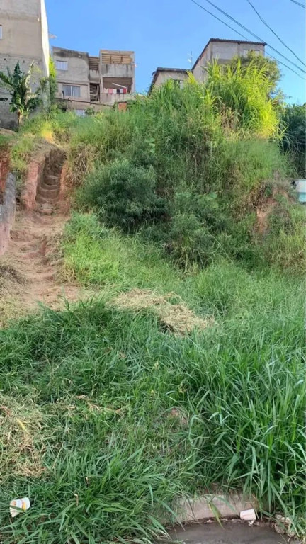 Foto - Francisco Morato - Jardim Rosa