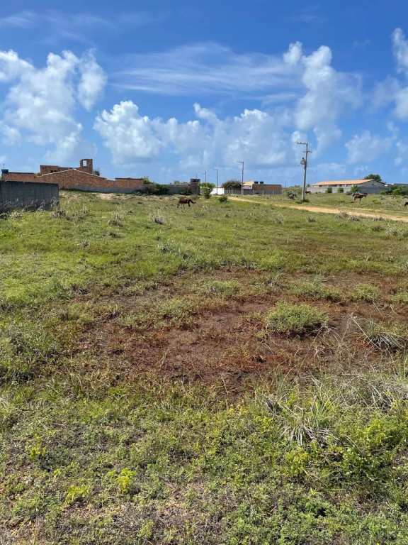 Foto - Aracaju - Luzia