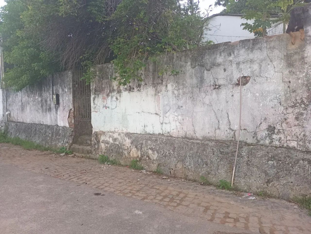 Foto - Paulista - Vila Torres Galvão