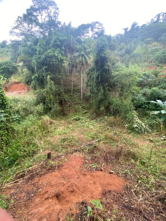 Foto - Volta Redonda - Belmonte