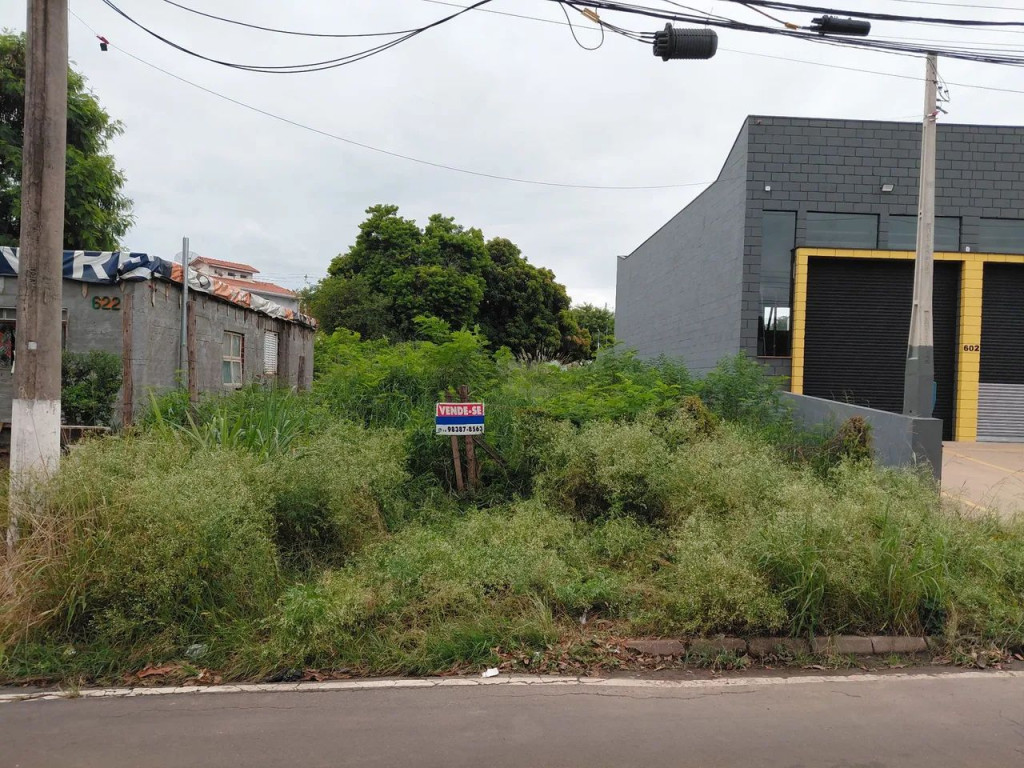 Foto - Paulínia - João Aranha