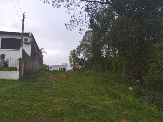 foto - Cachoeira do Sul - Ponche Verde