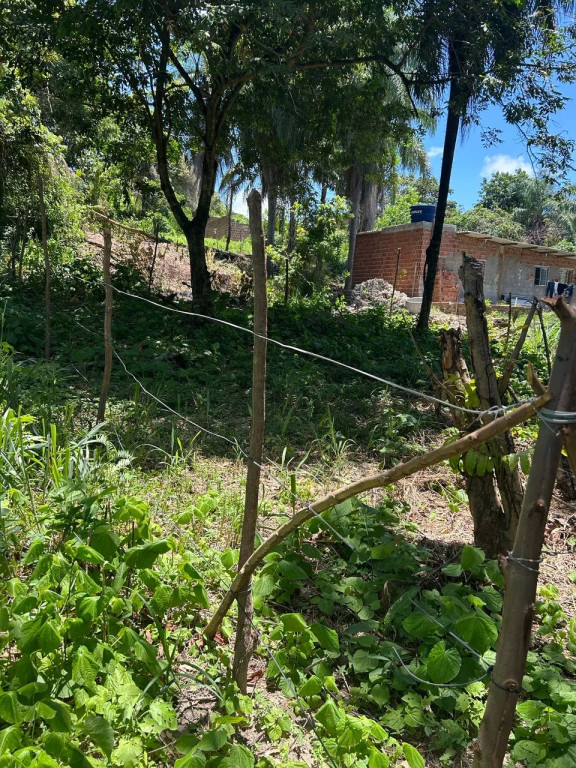 Foto - Recife - Beberibe