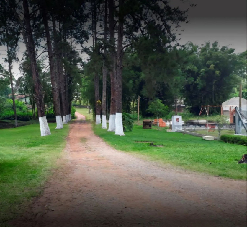 Terreno - Foto 2