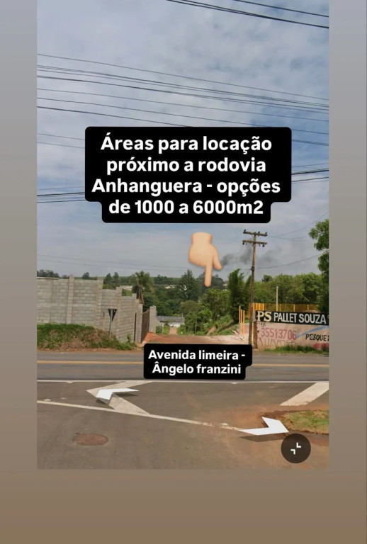 Foto - Araras - Jardim Cândida