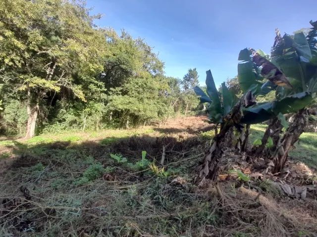 Foto - Ibiúna - 