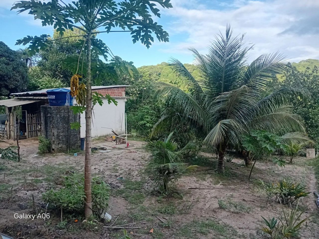 Foto - Paulista - Jaguaribe