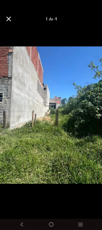 Foto - São Bernardo do Campo - Alvarenga