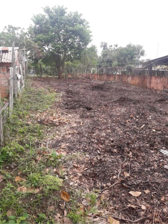 Foto - Manaus - Armando Mendes