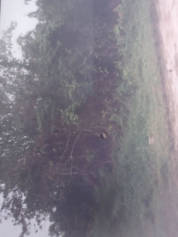 Foto - Santo André - Centreville