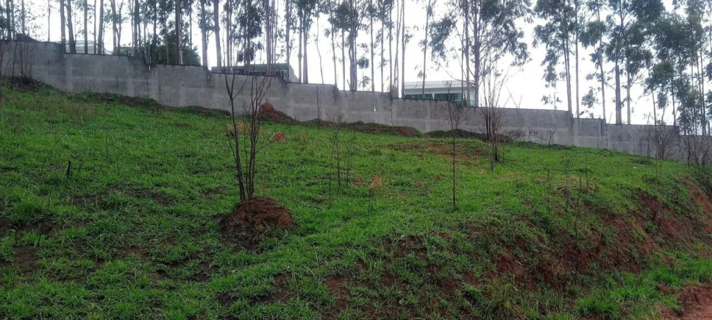 Foto - Mogi das Cruzes - Jardim Piatã B