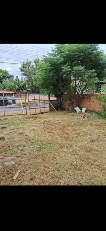 Foto - Viamão - Cecília