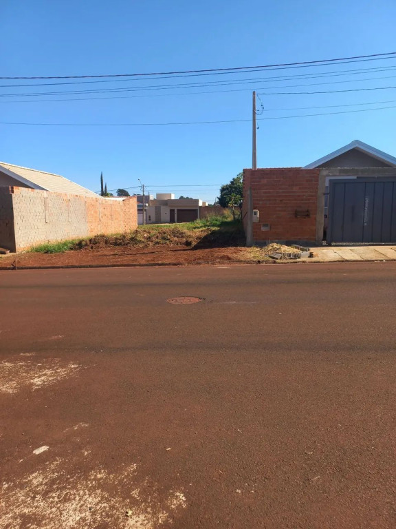 Foto - Ribeirão Preto - Adelino Simioni