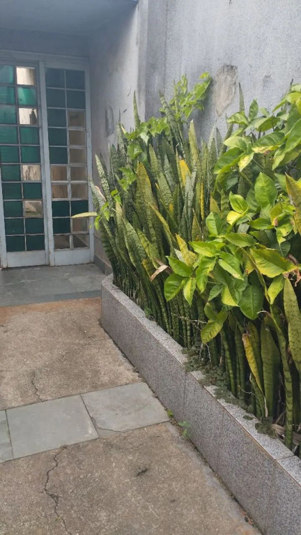 Foto - Osasco - Vila Menck