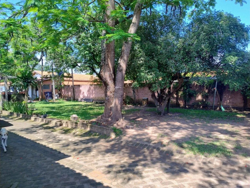 Foto - São Paulo - Jardim Mangalot